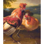 Brabanter hennen kuikens